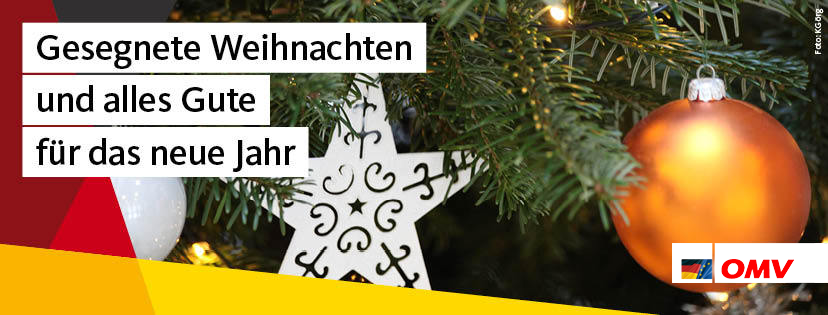 Gesegnete Weihnachten und alles Gute für das neue Jahr!